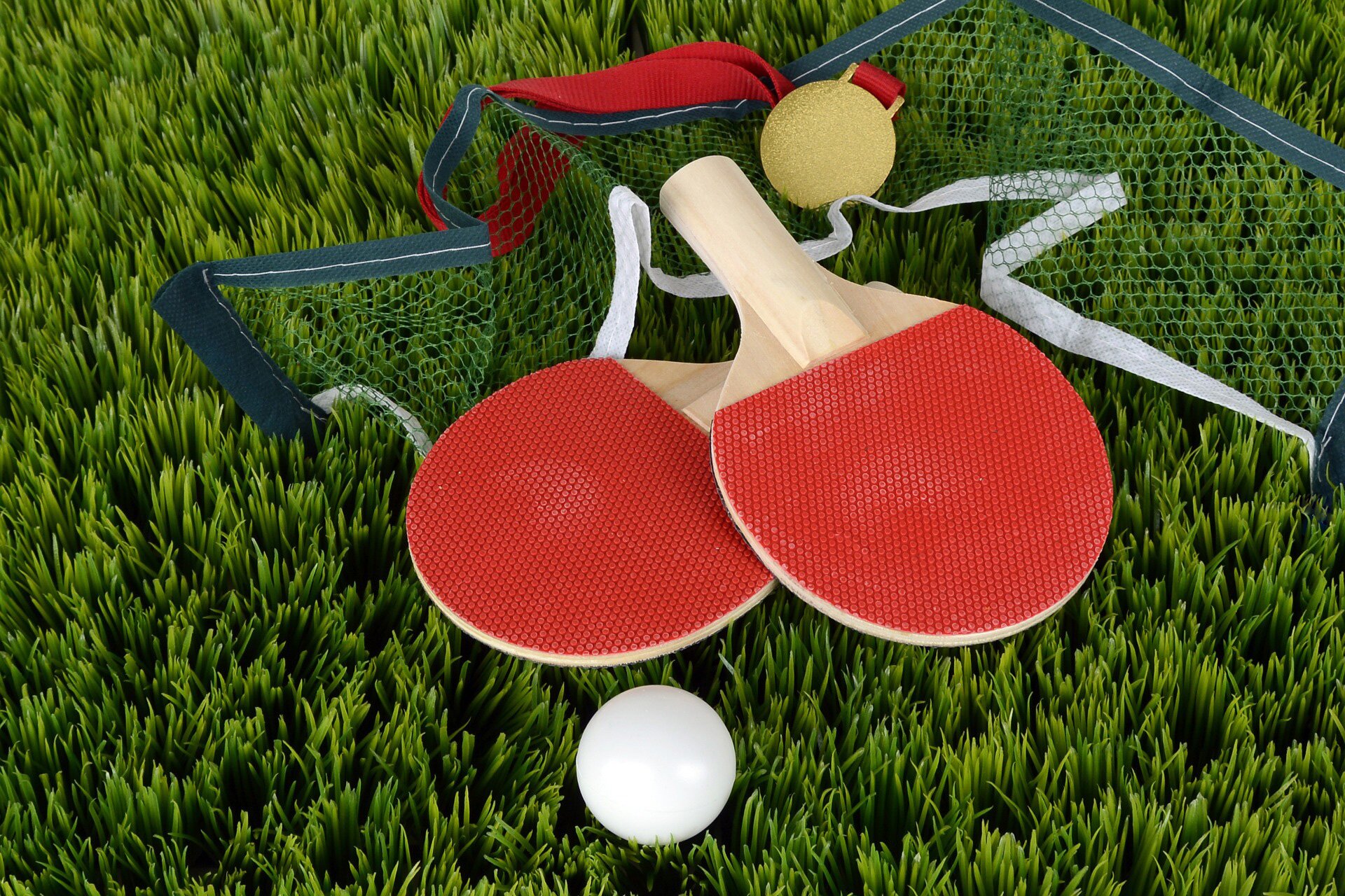 Best-Ping-Pong-Robots